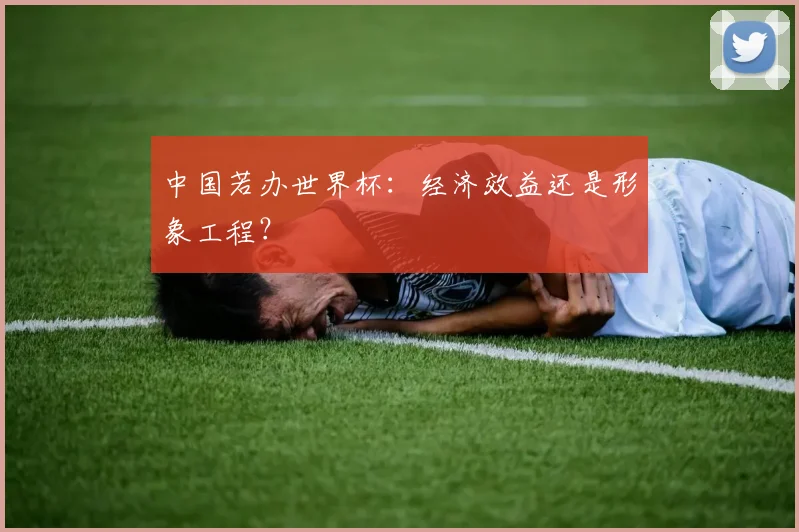 中国若办世界杯:经济效益还是形象工程?
