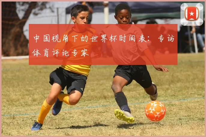 中国视角下的世界杯时间表:专访体育评论专家