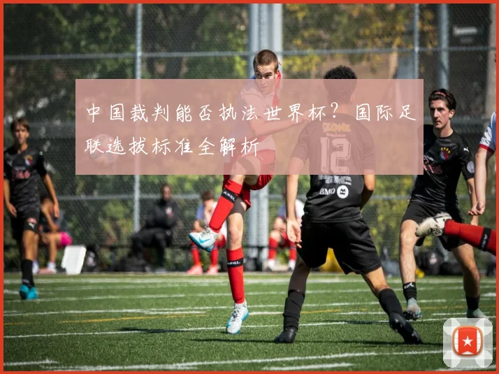 中国裁判能否执法世界杯?国际足联选拔标准全解析
