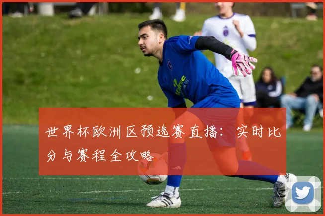 世界杯欧洲区预选赛直播:实时比分与赛程全攻略