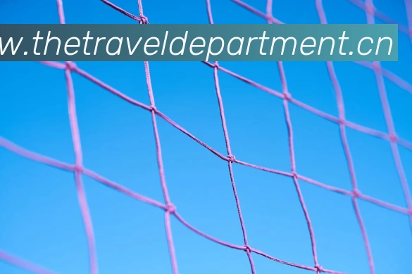 mk官网入口登录APP 体育赛事宣传图